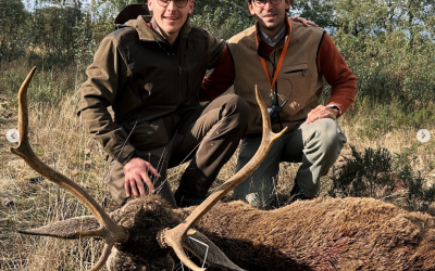 Monterías en España (Vídeo – Parte 2)