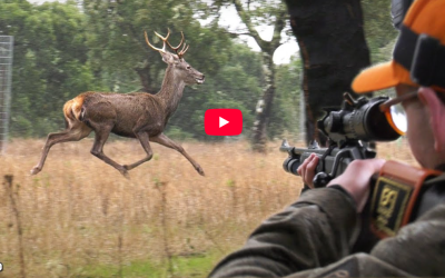 Monterias en España (Vídeo)